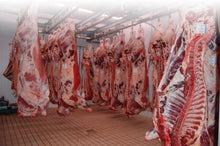 Carica l'immagine nel visualizzatore di Gallery, SANIFOOD